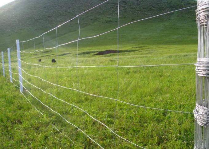 Heavily Wire Mesh Fencing  Hot Dip Galvanized Steel Field Fencing 0