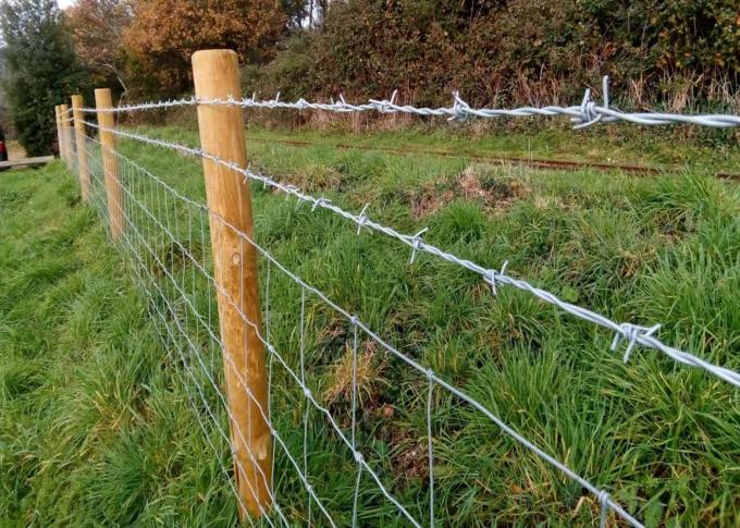 High Tension Barbed Wire Fence Silver / Green Color For Military 1