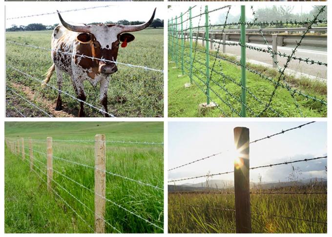 High Tension Barbed Wire Fence Silver / Green Color For Military 2