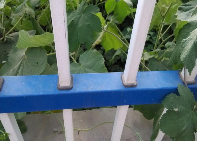 Protection Wrought Steel Fencing , Residential Steel Tubular Fence 1