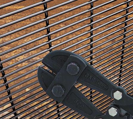 Galvanized Metal Security Welded Mesh Fencing with Opening Size 75mm x 12.5mm with Concertina wire 5
