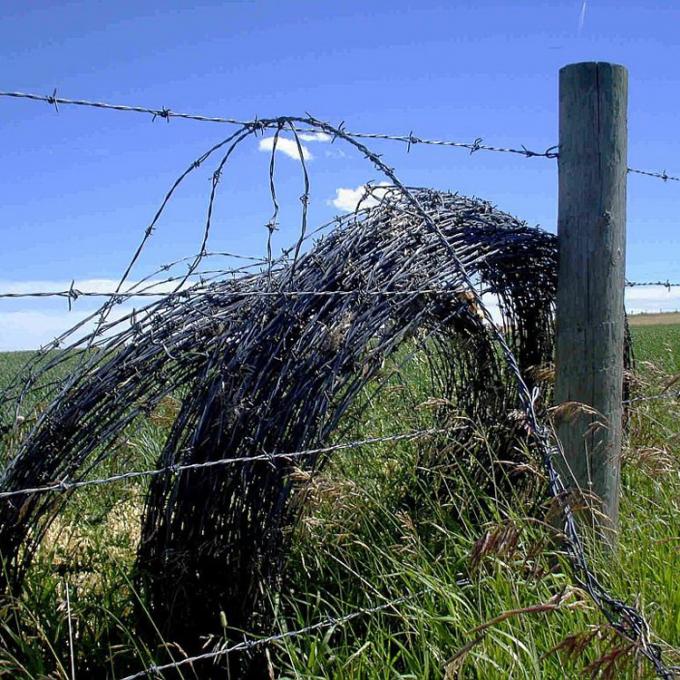 Hot dipped galvanized Barbed Wire Fence Packed for boundary fencing 0
