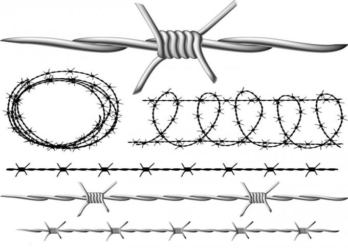 Hot dipped galvanized Barbed Wire Fence Packed for boundary fencing 7