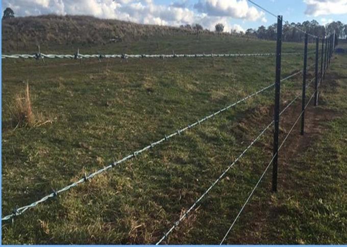 Easy installation hot dipped galvanized barbed wire fence for farm 0