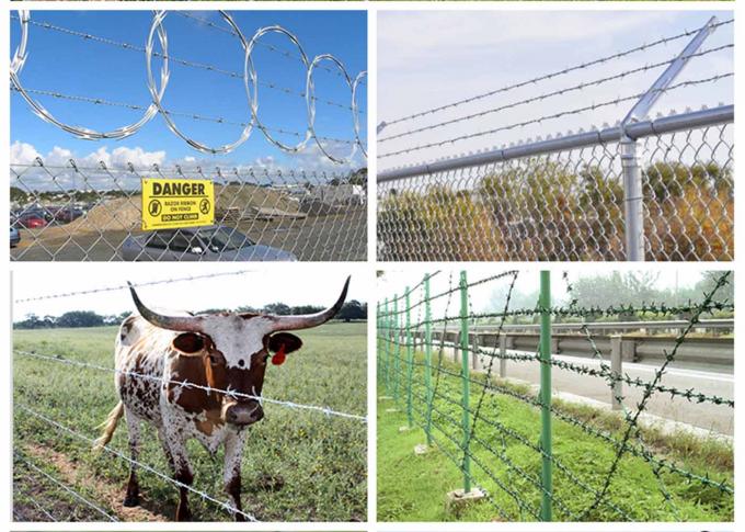 Easy installation hot dipped galvanized barbed wire fence for farm 4