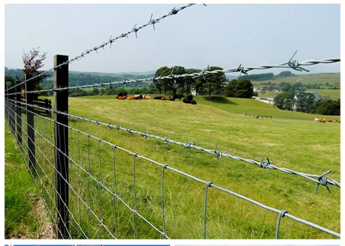 Barbed wire farm fencing  Security Fence hot dipped galvanized 0