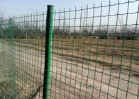 Clôture enduite de PVC de grillage de la Hollande clôture de jardin animale d'euro 2.5m