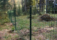 Clôture enduite de PVC de grillage de la Hollande clôture de jardin animale d'euro 2.5m