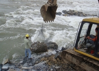 Paniers plongés chauds de Gabion de fil de Galfan de 5% pour des travaux de récupération