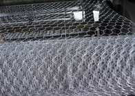 Hot Dipped Galvanized Hexagonal Wire Mesh , Chicken Wire Mesh Factory