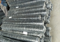 Good price 1.0mm Chicken Hexagonal Wire Mesh / Chicken Wire Netting Fence online