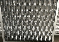 Customized Perforated Metal Mesh Galvanized Expanded Aluminum Mesh