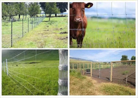 Fixed Knot Cattle Wire Mesh Fencing 1030mm Height For Protection