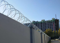 Customized Single Coil  Razor Wire Fencing BTO-22 stainless steel