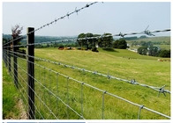 75mm-120mm Barb Spacing Barbed Wire Fence security farm fencing