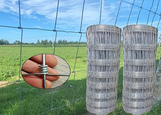 Heavily Wire Mesh Fencing  Hot Dip Galvanized Steel Field Fencing