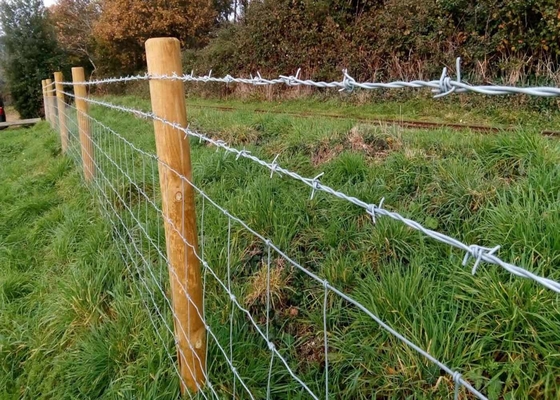 Security Barbed Wire Fence PVC Coated For Farm / Prison