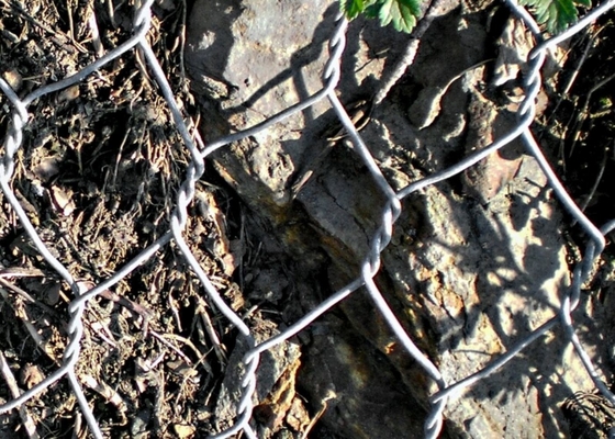 buy 3.0mm Rockfall Protection Netting 80X100mm Double Twisted Hexagonal Wire Mesh online manufacturer