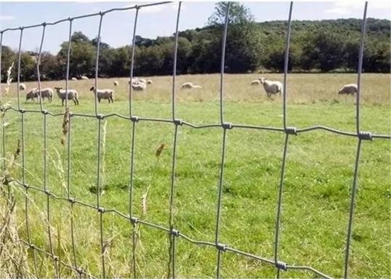 Fixed Knot Cattle Wire Mesh Fencing 1030mm Height For Protection