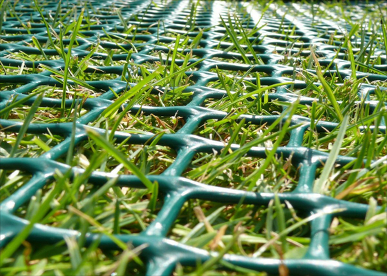 Maglia di plastica di protezione dell'erba, maglia di rinforzo dell'erba per i pedoni