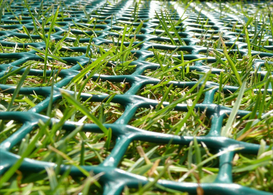 Maille en plastique de protection d'herbe, maille de renfort d'herbe pour des piétons