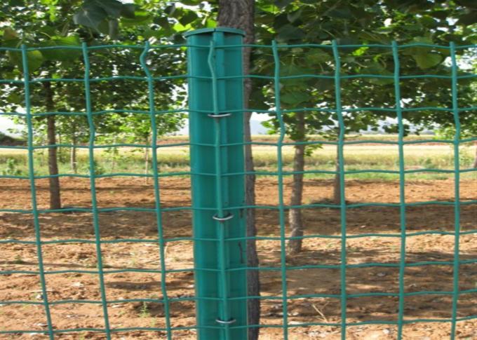Agricultural Europe Holland Wire Mesh Fence Powder Coated 0.5m-2.5m ISO9001 0