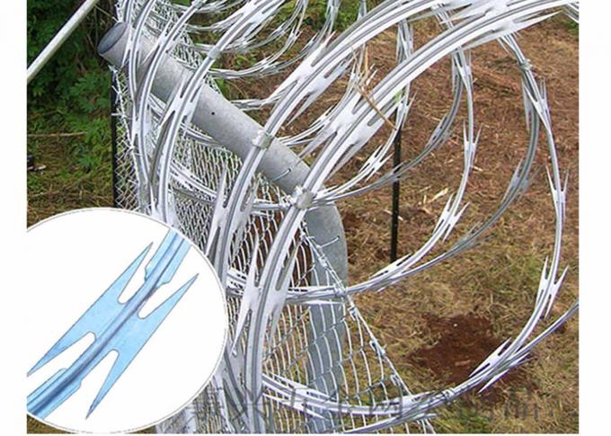 Welded Razor Wire Mesh Fence Length Customized For Military Prison 1