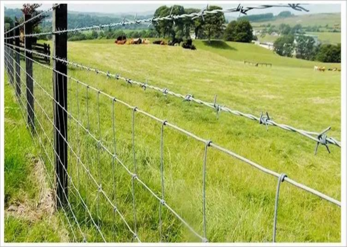 Fixed Knot Cattle Wire Mesh Fencing 1030mm Height For Protection 1