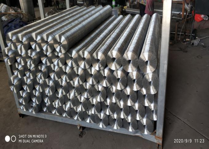 Galvanized Welded Wire Mesh Factory 1"-4" Hole Reinforcement Wire Mesh For Agricultural 0