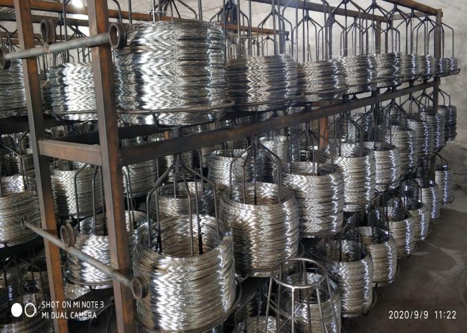 Galvanized Welded Wire Mesh Factory 1"-4" Hole Reinforcement Wire Mesh For Agricultural 2