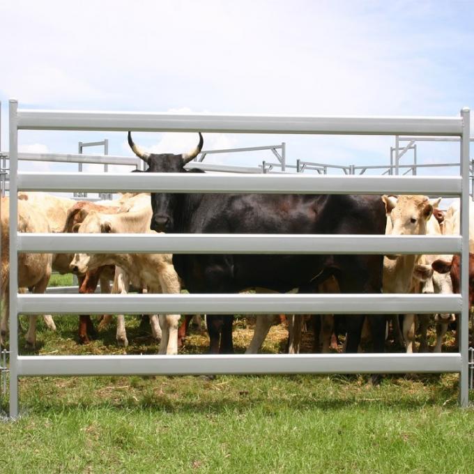 Portable Cattle fence panel for livestock or farmyard with hot dipped galvanized 1