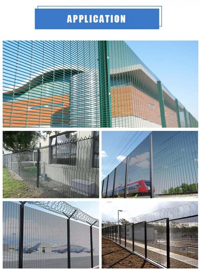 Galvanized Metal Security Welded Mesh Fencing with Opening Size 75mm x 12.5mm with Concertina wire 7