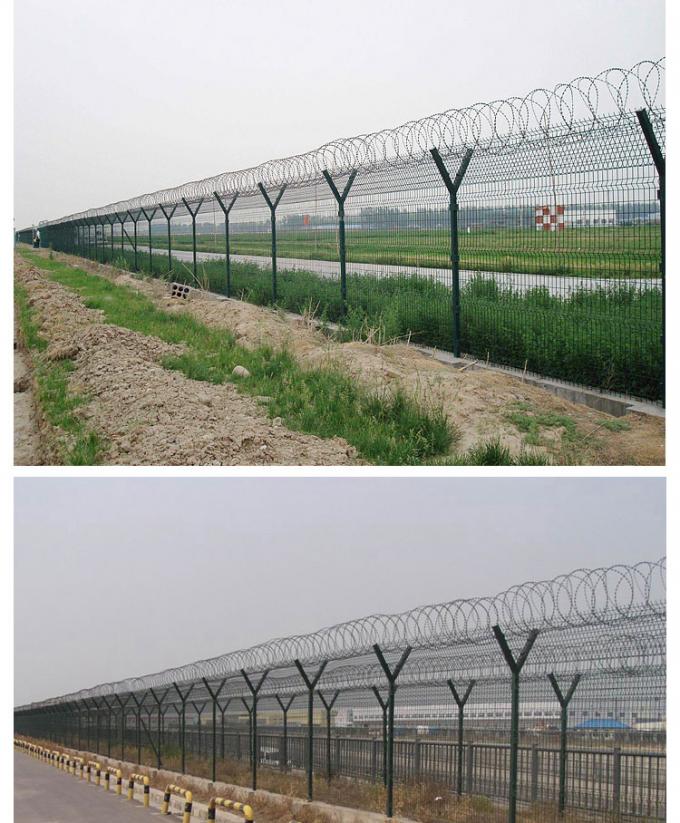 Galvanized Metal Security Welded Mesh Fencing with Opening Size 75mm x 12.5mm with Concertina wire 0