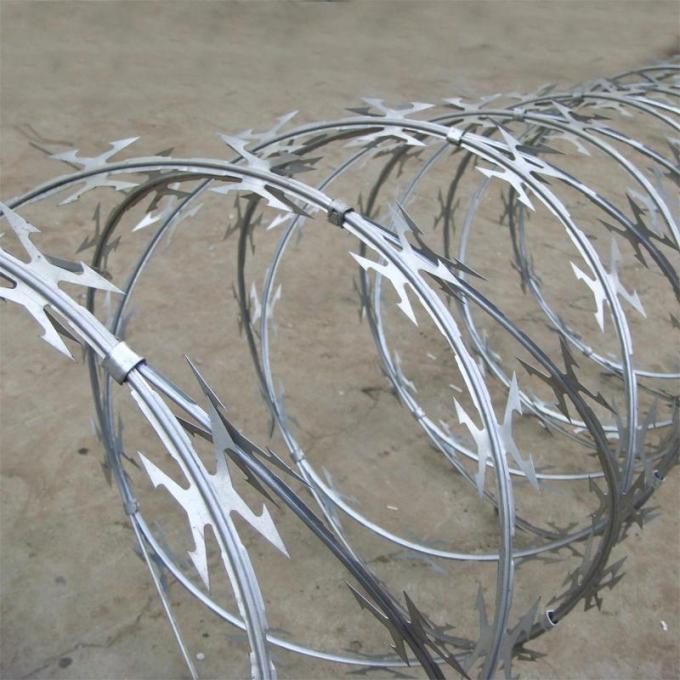 Hot dipped galvanized BTO-22 concertina razor wire security fence for  border 0
