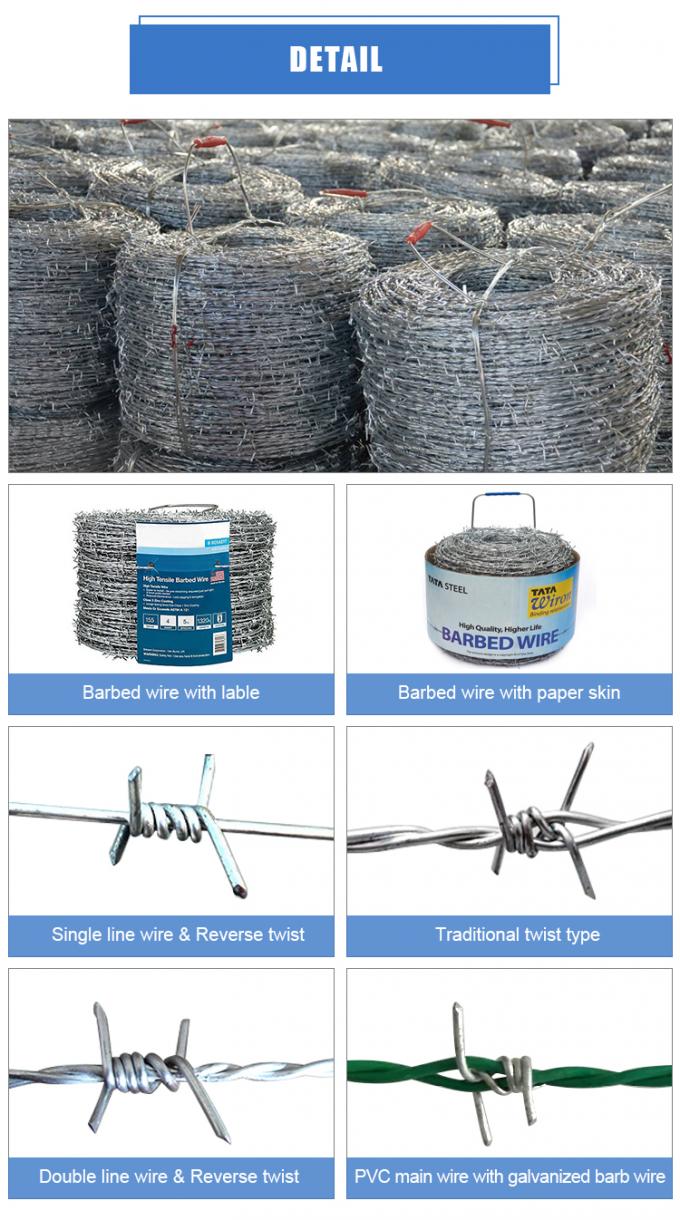 75mm-120mm Barb Spacing Barbed Wire Fence security farm fencing 4