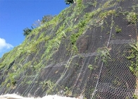 1-30m/Roll Rockfall Protection Netting Wire Mesh ISO9001 Certification