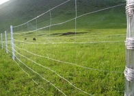 Malla de alambre del prado que cerca 1150m m con el nudo fijo galvanizado sumergido caliente