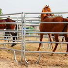 Pannello portatile per recinzione bovini per bestiame o aia con zincatura a caldo