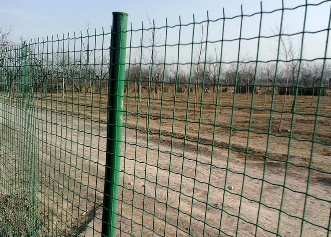 PVC Coated Holland Wire Mesh Fence Euro Animal Garden Fence 2.5m