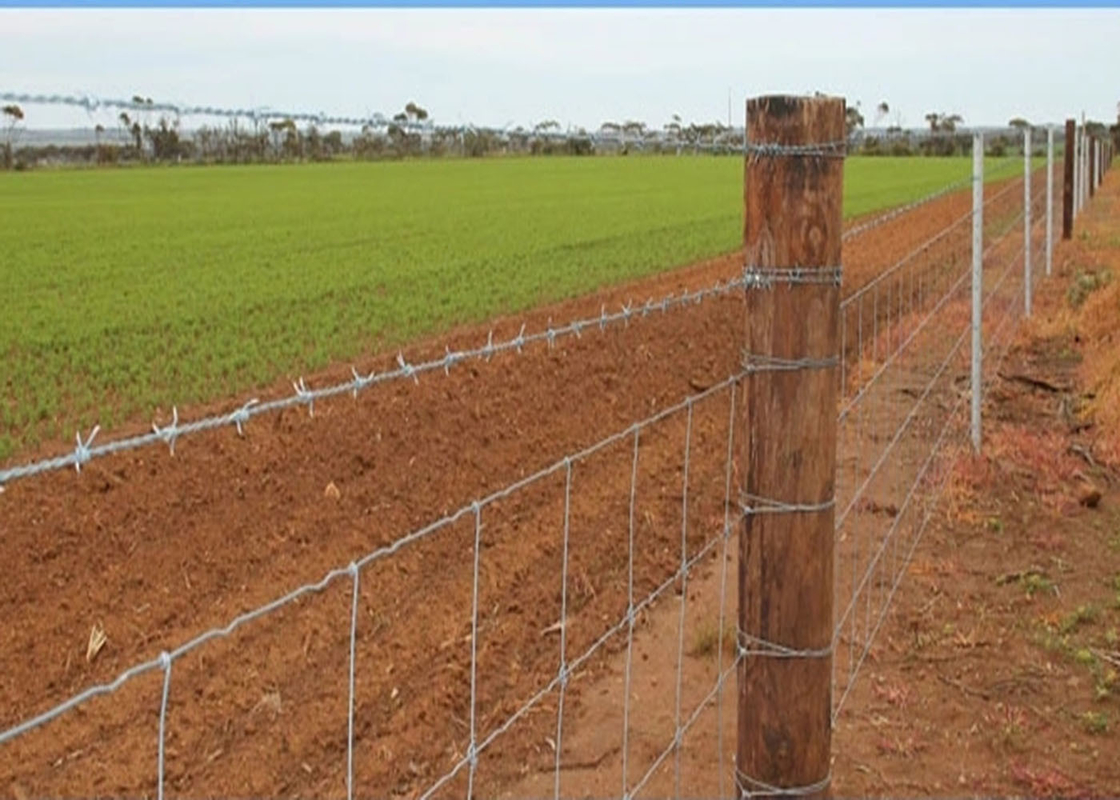 2 Strand Barbed Wire Fence Stainless Steel for Cattle Fence