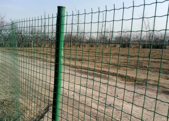 PVC Coated Holland Wire Mesh Fence Euro Animal Garden Fence 2.5m
