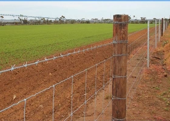 ограждение фермы безопасностью загородки колючей проволоки расстояния между колючками 75мм-120мм