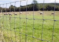 Fixed Knot Cattle Wire Mesh Fencing 1030mm Height For Protection